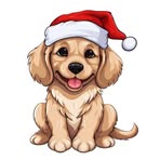 Steven Redman - Facebook