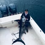 Steven Ma - @reel_steven_ma - Instagram