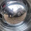 Steven ReeL - @steven.reel - TikTok