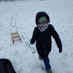 Steve Reiser - @steve_reiser - Instagram