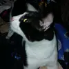 steven reza 👺 - @stevenreza441 - TikTok
