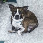 Steven Richey - @steven.richey.585 - Instagram
