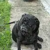 Steven Richey - @steven.richey1 - TikTok