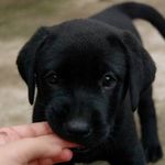 Steven Richey - @steven.richey79 - Instagram