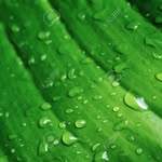 Steven Rickerson - @nature_ohio - Instagram
