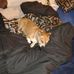 Steve Rickert - Facebook