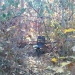 Steve Rickert - @rickertsteve - Instagram