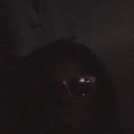 Steven Ricks - @4lilljr - Instagram