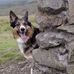 Steven Riddell - Facebook