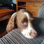 Steven Riddell - @riddell66 - Instagram