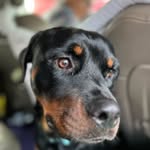 Steven Rieger - @bitwyse0x07 - Instagram
