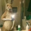 Steven nieves - @stevenperrigoniev - TikTok