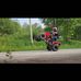Steven Rinaldi - Facebook