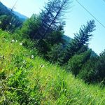 Steven Rinaldi - @steven._.rinaldi - Instagram
