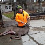 Steven Rinaldi - @steven.rinaldi.568 - Instagram
