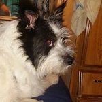 Steven Rinaldi - @sjr22123313 - Instagram