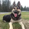 Steven Rinaldi - @stevenrinaldi - TikTok