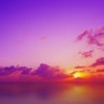 Steven Rintoul - @stevenrintoul - Instagram
