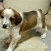 Steven Risch - Facebook