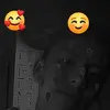Steven Roa - @steven.roa66 - TikTok
