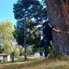 Steven Roa - @steven.roa0 - TikTok