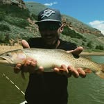 steven robison - @stevenrobison6 - Instagram