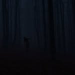 Steven Rocha - @atom3_8 - Instagram