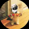 steven😘🥰 - @stevenrocha94 - TikTok