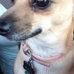 Steven Roller - @rocki_and_roller - Instagram