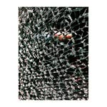 Steven Rollert - @steven.rollert - Instagram