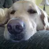 Steven Roosevelt - @steven.roosevelt - TikTok