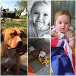 Steven Rootsey - @stevenrootsey - Instagram