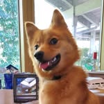 Steven Rounds - @steven.rounds - Instagram