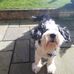 Steven Rowley - Facebook