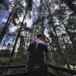 STEVEN SALIM - @stevensalim__ - Instagram