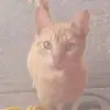 Steven Samora209 - @kirito3926614016688 - TikTok