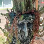 Steven Sargent - @sargents007 - Instagram