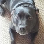 Steven Sargent - @sargent8212 - Instagram