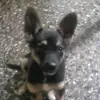 Steven Saries - @steven.saries - TikTok