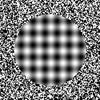 Steven Sauer589 - @stevensauer589 - TikTok