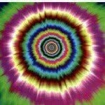 steven sauer - @stevensauer_the_2nd - Instagram