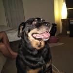 Steven Sauer - @stevensauer8 - Instagram