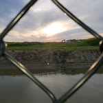 Steven Sauermann - @steven.sauermann - Instagram