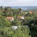 Stefan Savić - Facebook