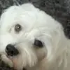 Steven Schalk - @steven.8210 - TikTok