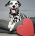 Stefan Scheele - Facebook