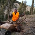 Steve Scheeler - @scheelersteve - Instagram
