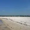 steven.schiefer - @steven.schiefer - TikTok