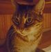 Steven Schleich - Facebook