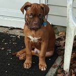 Steven Schmelzer - @walter_k_bear_ - Instagram